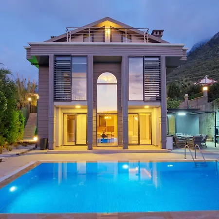 Arslanevi Villa